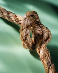 Knot