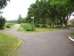 Forked Road