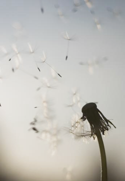 Goodbye by mira_photo