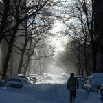 Snow Storm Fort Greene