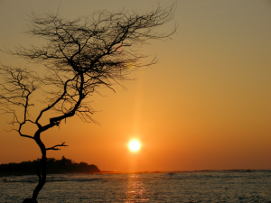 Sunset Big Island