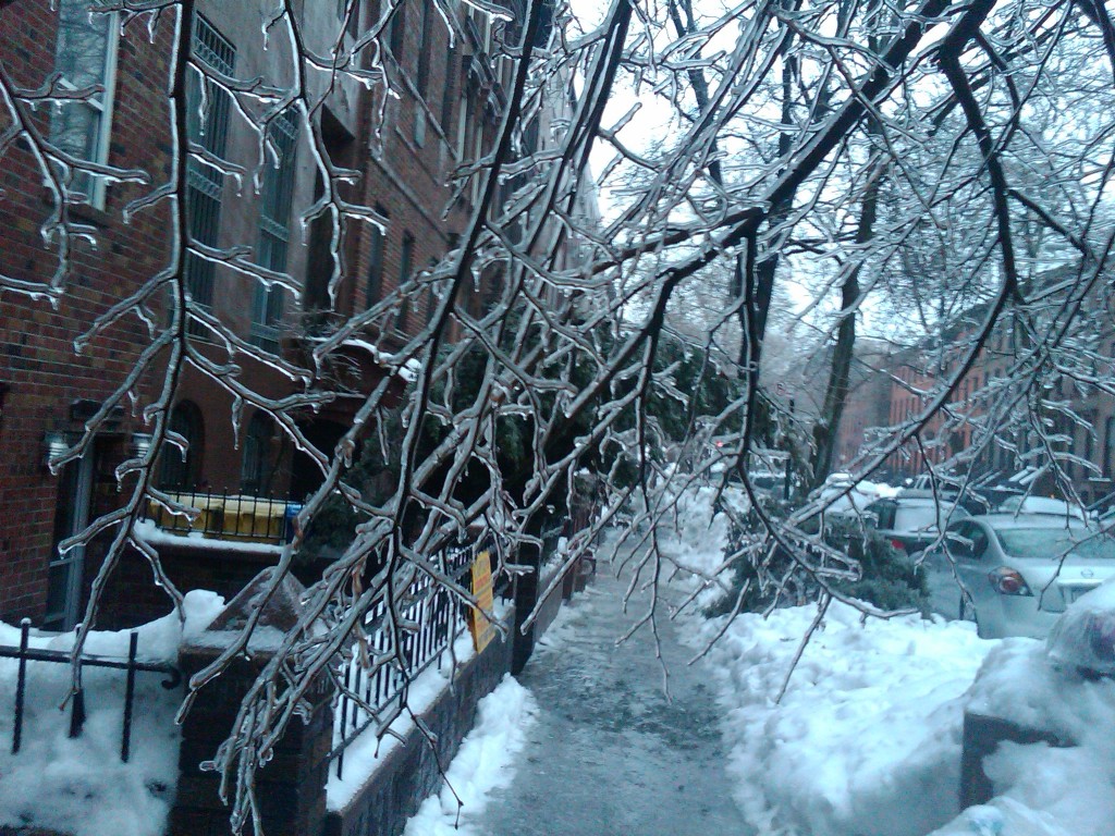Ice Storm in Fort Greene, Brooklyn