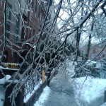 Ice Storm in Fort Greene, Brooklyn